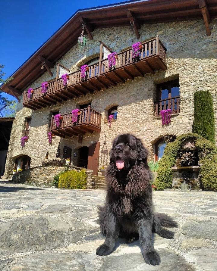 Mas D'En Roqueta Hotel Aravell ภายนอก รูปภาพ