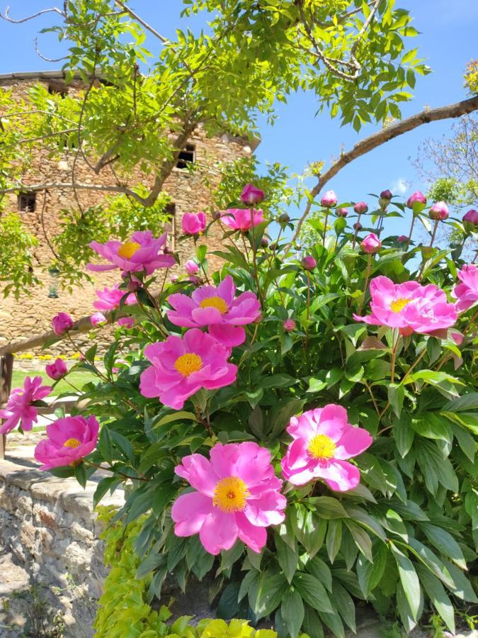Mas D'En Roqueta Hotel Aravell ภายนอก รูปภาพ